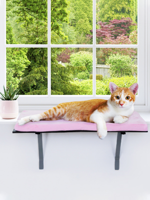 Cat Wall Mounted Perch House Window Seat for Large Cats Indoor, Pink 4e5ced37 aa49 4efb a7a6 21acb11fd008. CR00300400 PT0 SX300 V1
