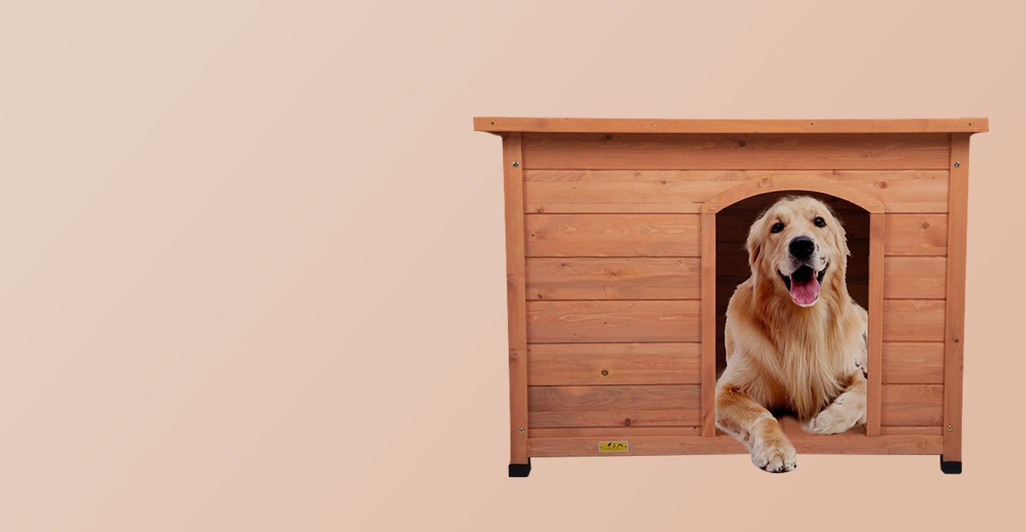 The Best Guide To Choose A Proper Dog House lil doge Dog blogs