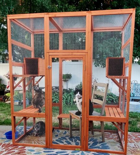 70"H Extra Large Wood Cat Enclosure| Walk-in Cat Playpen With Jumping Platforms, for 4 Cats, Orange photo review