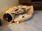 Cat Tunnel Bed Hide Tunnel for Indoor Cats with Hanging Scratching Balls, Yellow photo review