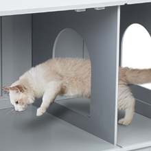 Coziwow Wooden Cat Litter Box Enclosure W/ Removable Partition & Magazine Rack, Gray 5106368d 890c 4748 954c e64d340c8b13. CR00220220 PT0 SX220 V1