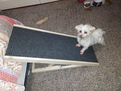 37.5"L Adjustable Wooden Dog Ramp Folding Portable Pet Ramp with Removable Non Slip Carpet Surface, Natural Wood photo review