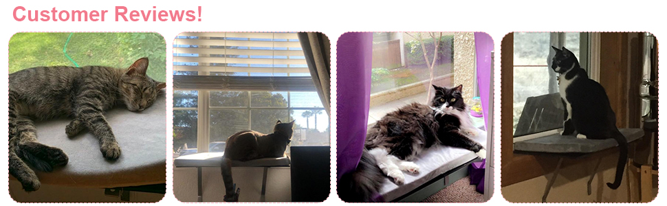 Coziwow Wall Window Mounted Cat Perch Shelf Bed for Large Cats Indoor, Gray 7421fc1a 68e9 48c5 9cec 4a054ca6c015. CR00970300 PT0 SX970 V1
