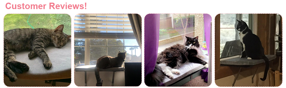 Coziwow Cat Window Perch Mounted Cat Shelf Bed for Large Cats Indoor w/Soft Plush Cover, Gray 7421fc1a 68e9 48c5 9cec 4a054ca6c015. CR00970300 PT0 SX970 V1