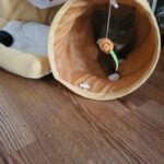 Coziwow Cat Tunnel Bed Hide Tunnel for Indoor Cats with Hanging Scratching Balls, Orange photo review