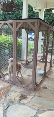 44"H Large Wooden Catio| Indoor And Outdoor Cat Enclosure With Asphalt Roof, for 2 Cats, Dark Gray photo review