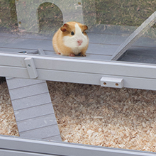 Coziwow 3 Tier Large Cage for Hamster Wood Guinea Pig Habitat for Small Animals 83769eea c18d 492f 8df6 654f309ffa54. CR00220220 PT0 SX220 V1