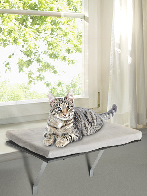 Coziwow Wall Window Mounted Cat Perch Shelf Bed for Large Cats Indoor, Gray 99b8a215 2096 4b26 8a7d f9494d8d997e. CR00300400 PT0 SX300 V1