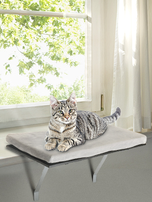 Coziwow Cat Window Perch Mounted Cat Shelf Bed for Large Cats Indoor w/Soft Plush Cover, Gray 99b8a215 2096 4b26 8a7d f9494d8d997e. CR00300400 PT0 SX300 V1