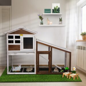CW12F0489-cj(4)