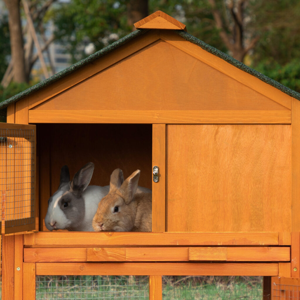 82"L Extra-Large Wooden Rabbit Cage With Double Runs, for 2-3 Bunnies CW12M0440zt 2000x200017 1 Chicken Supplies