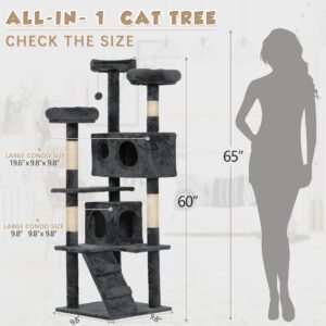CW12P0208cct(2)