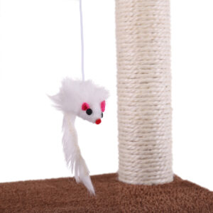 CW12P0226 -xj (4)
