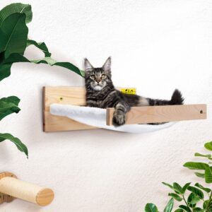 CW12P0478-cj(4)