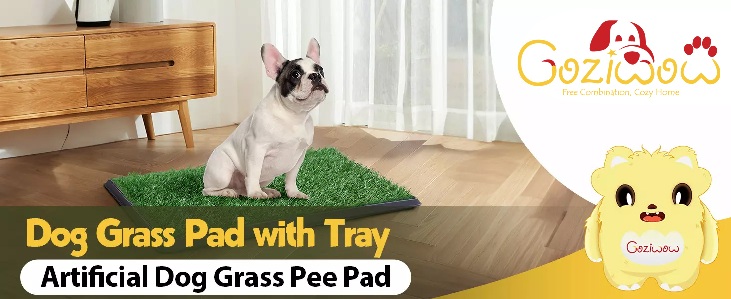 30"×20" Artificial Turf Grass Pee Pad for Dogs, Indoor and Outdoor CW12R0048 2 Dog Training