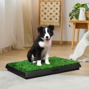 Home CW12S0049 cj2000x20002