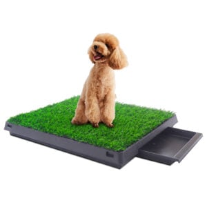 Coziwow 25"×20" Artificial Grass for Dogs Potty with Tray, for Small or Medium Sized Pets CW12S00491 1