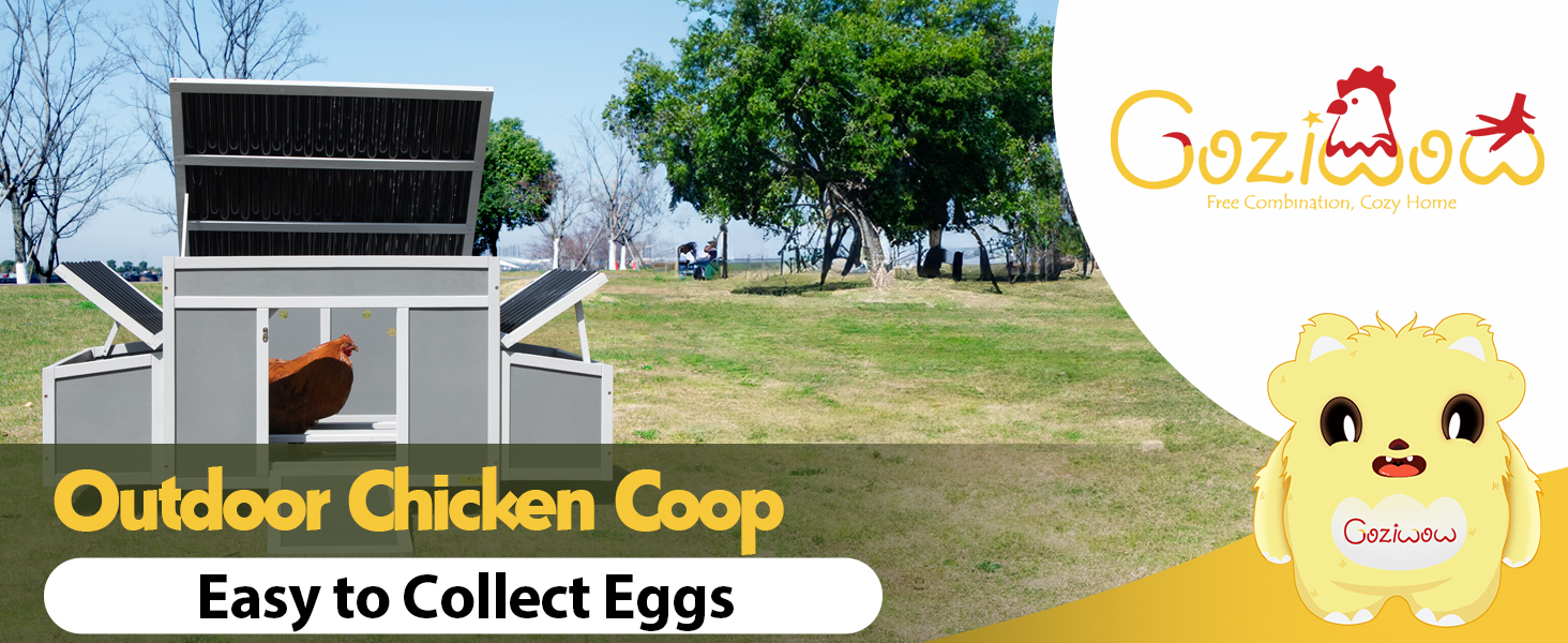 59"L Outdoor Wooden Chicken Coop with 2 Nesting Boxes, for 4 Chickens, Dark Gray CW12S0534
