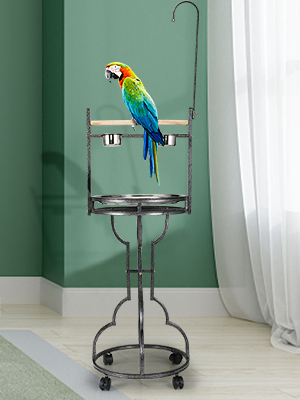Coziwow 72" Wood Parrot Perch Playstand Bird Stand with Stainless Steel Tray DM 20220531152458 001