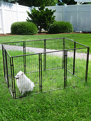 Coziwow Dog Playpen 47 Inches 10 Panels, Heavy Duty Pet Dog Crate, Foldable Dog Outdoor Exercise Fence, Black DM 20220531163847 001