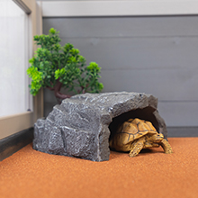 Coziwow Wooden Indoor Tortoise Enclosure| Reptile Cage For Small Animals With 2 Trays, Gray a554ac37 bcac 4139 ab51 c50db5d22cb1. CR00220220 PT0 SX220 V1