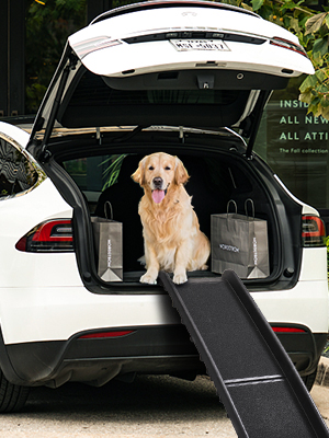 Coziwow 61″L Portable Folding Non-Slip Pet Dog Ramp For Car with Stable Secure Sloping Pads, Water-Proof Sandpaper bc996d56 731a 47fb a689 f9e5dcbe2925. CR00300400 PT0 SX300 V1