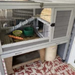 37"L Elevated Wood Rabbit Hutch With 4 Casters, for 1-2 Bunnies, Gray + White photo review