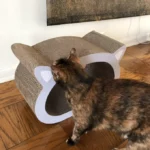Cat-Head Shaped Cat Scratcher Cardboard, Scratching Pad Bed, Natural Wood photo review