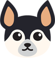 Home doge3