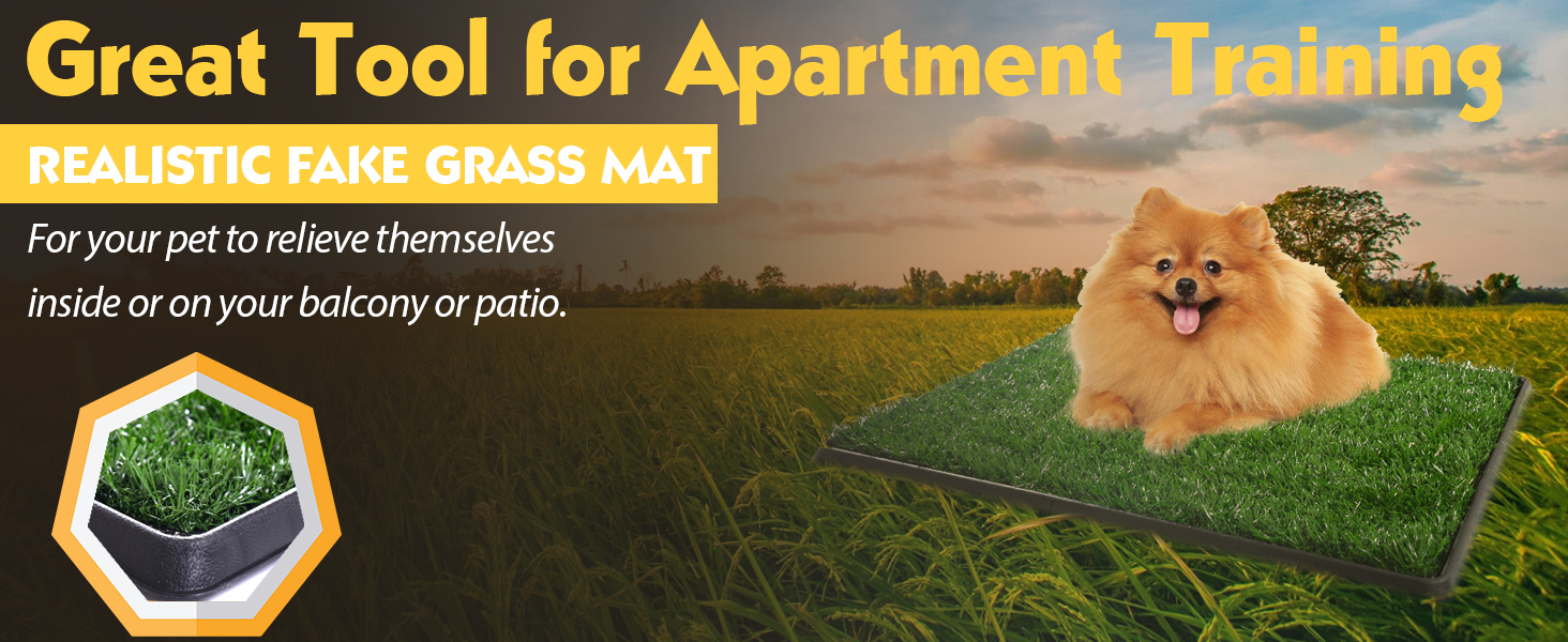 25"×20" Dog Potty Training Grass Pad for Apartments 画板 1 拷贝 4 3 Dog Training