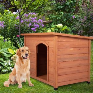 The Best Guide To Choose A Proper Dog House 1 1 Dog blogs