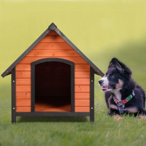 The Best Guide To Choose A Proper Dog House 2 1 dog house