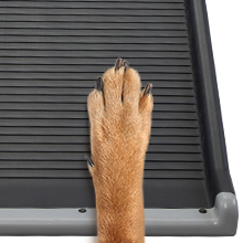 Coziwow 63" L High Flexibility Portable Bi-Fold Outdoor Dog Ramp with Non-Slip Smooth Surface, Snap-on Locks, PE+Steel Tube 3b6c84be c831 43e6 83e0 1ad2f3221506. CR00220220 PT0 SX220 V1