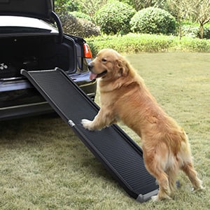 Coziwow 15"W High Flexibility Plastic Portable Bi-Fold Outdoor Dog Ramp, Non Slip Smooth Surface for All Ages 54693bf3 0311 4275 9daf 398cb45f45d7. CR00300300 PT0 SX300 V1