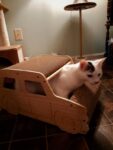 2-in-1 Wood Cat Scratcher Pad Corrugated Scratch House, Car-Shaped, Natural Wood photo review