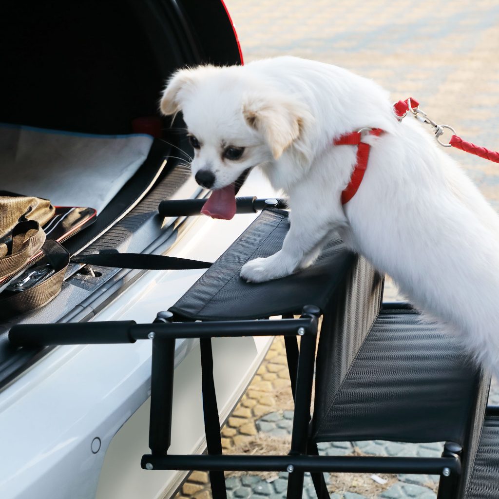 Coziwow 4 Steps High Flexibility Folding Portable Dog Stairs, Metal Non Slip Dog Ramp for Car, SUV, or Truck CW12B0343 sp4