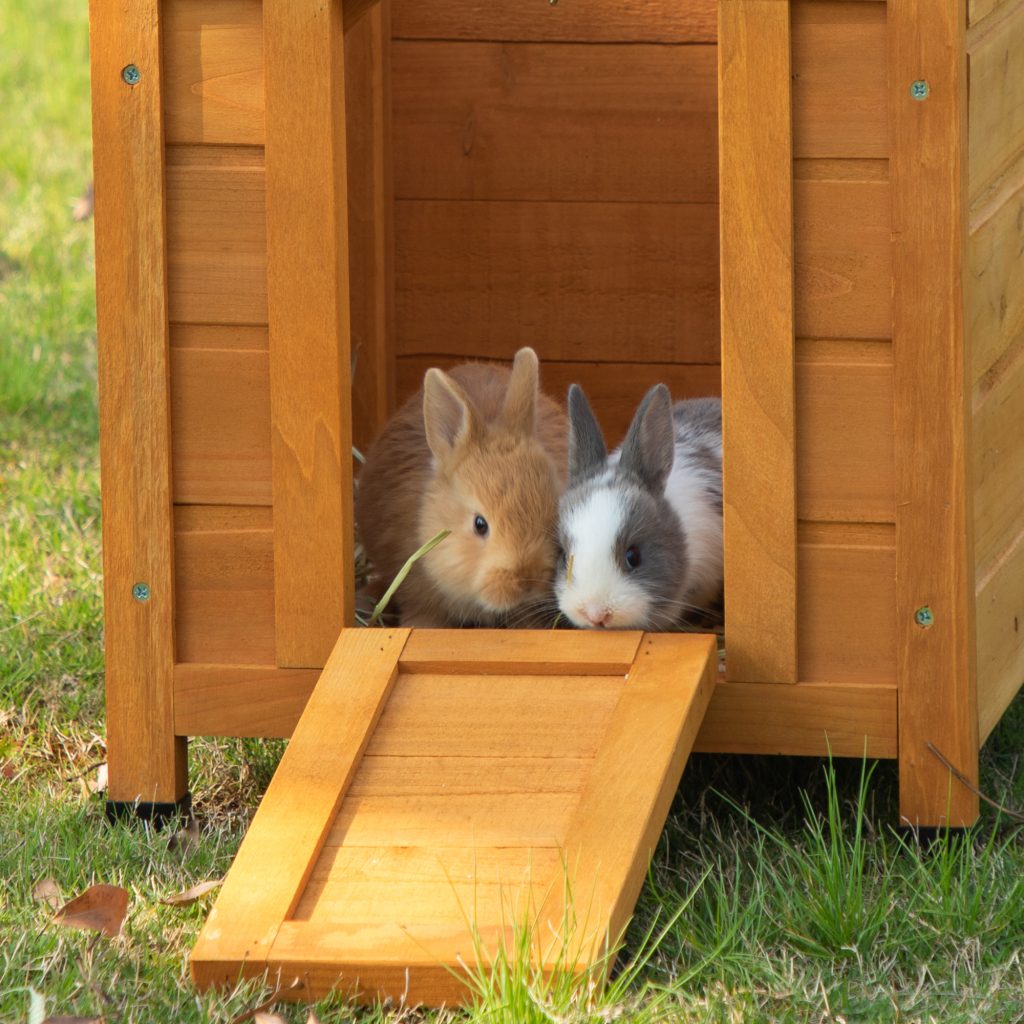 Coziwow Portable Outdoor Rabbit Hutch Wooden Retreat House For Small Pets , Bright Orange CW12U0338 spxj4