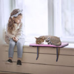<strong>CAT EYE MEANING: READING YOUR CAT’S EYES</strong>