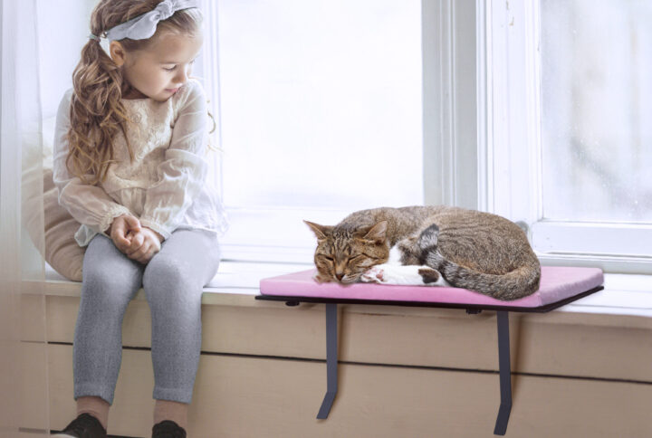 <strong>CAT EYE MEANING: READING YOUR CAT’S EYES</strong>