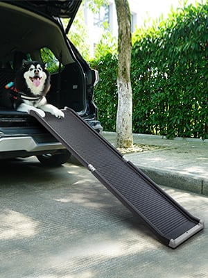 Coziwow 63" L High Flexibility Portable Bi-Fold Outdoor Dog Ramp with Non-Slip Smooth Surface, Snap-on Locks, PE+Steel Tube a477a839 7b50 4636 99ef 9fadc69a215b. CR00300400 PT0 SX300 V1