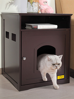 Enclosed Cat Litter Box Hidden Cabinet,Cat Washroom Bench, Brown bd11ce31 f83e 4806 b42b e5810a7dcc77. CR00300400 PT0 SX300 V1