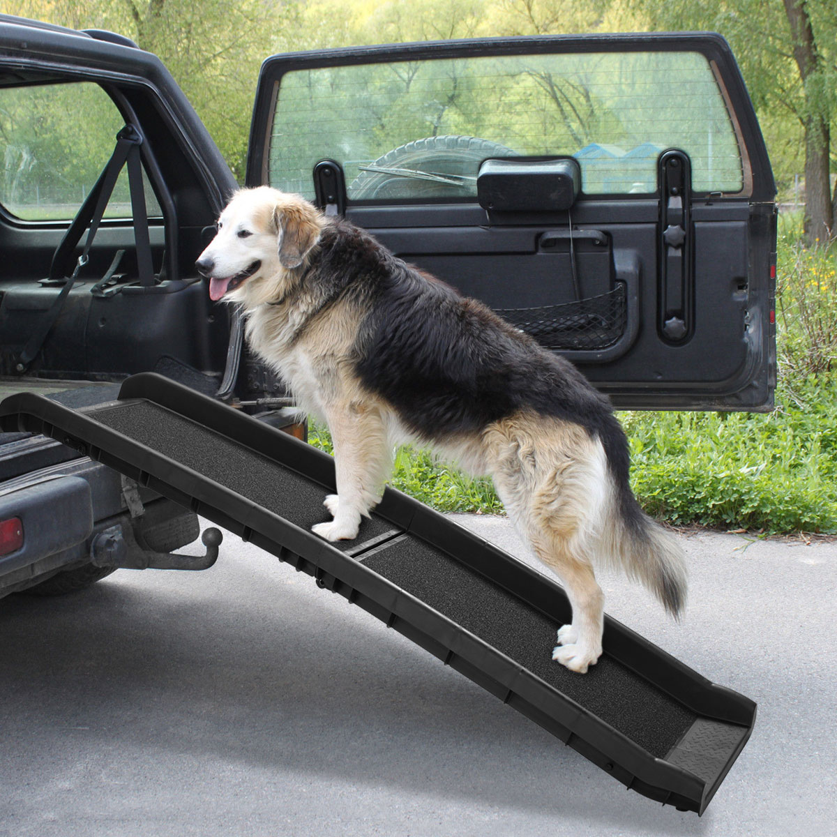 Dog Ramp