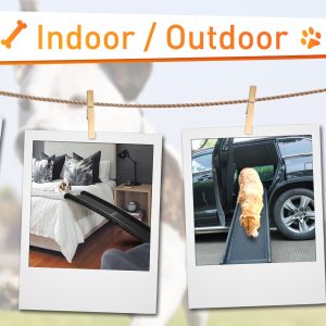 Do You Need a Dog Ramp? CW12E0290Demi2000X10004 300x300 1 Dog Ramp Dog blogs