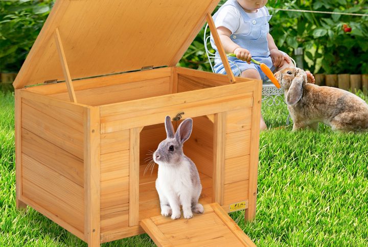 What Kind of Bedding Do Rabbits Need?