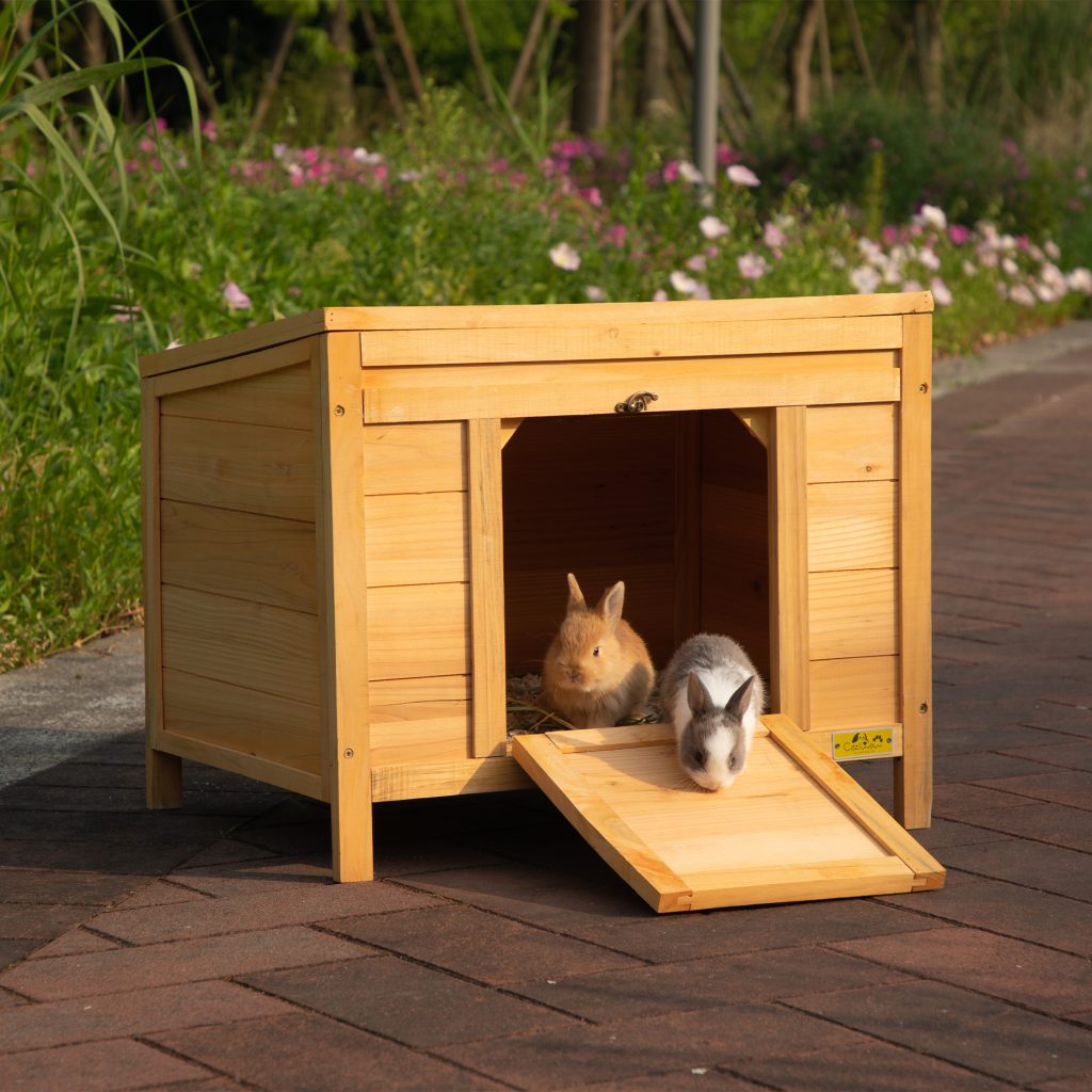 rabbit hutch
