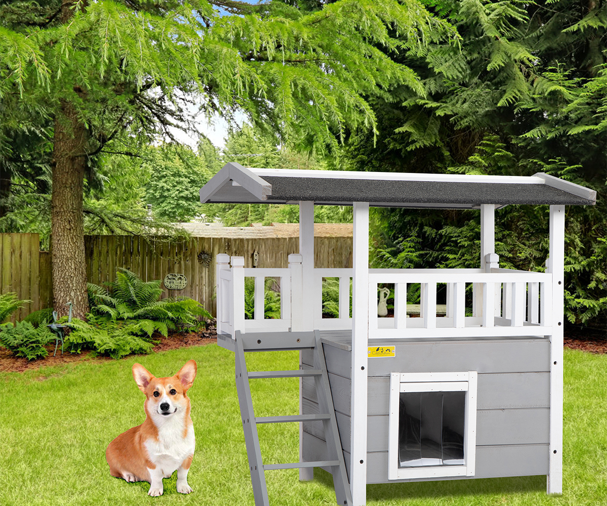 Does My Dog Need a Dog House? 12001 dog house