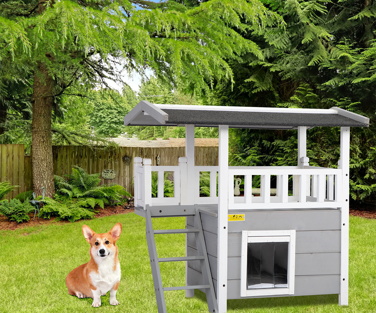 Does My Dog Need a Dog House? 12001 Dog blogs