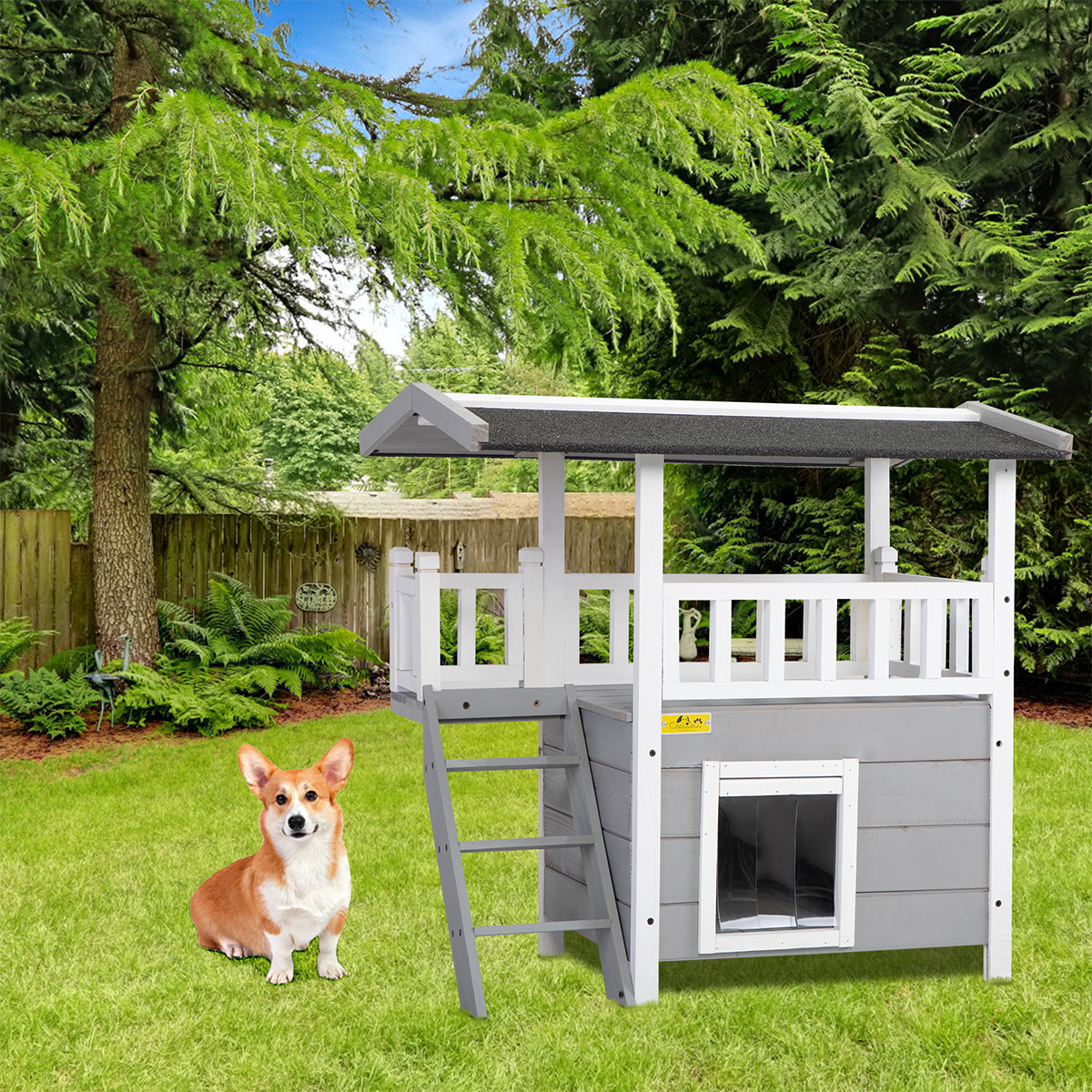 Does My Dog Need a Dog House? 12001 Dog blogs