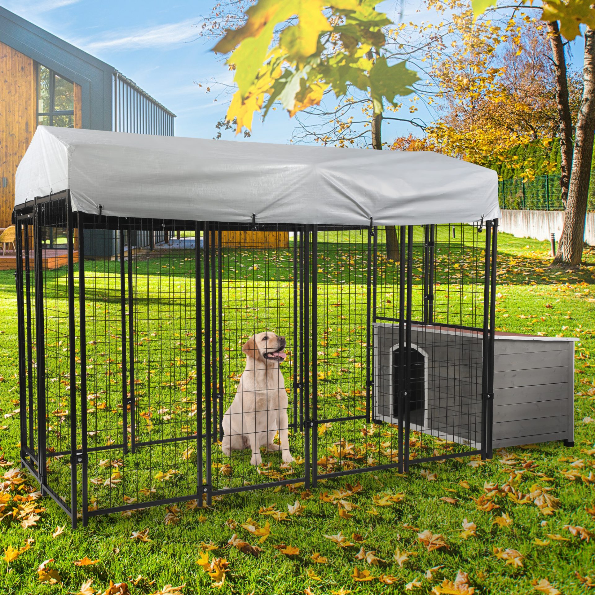 dog crate