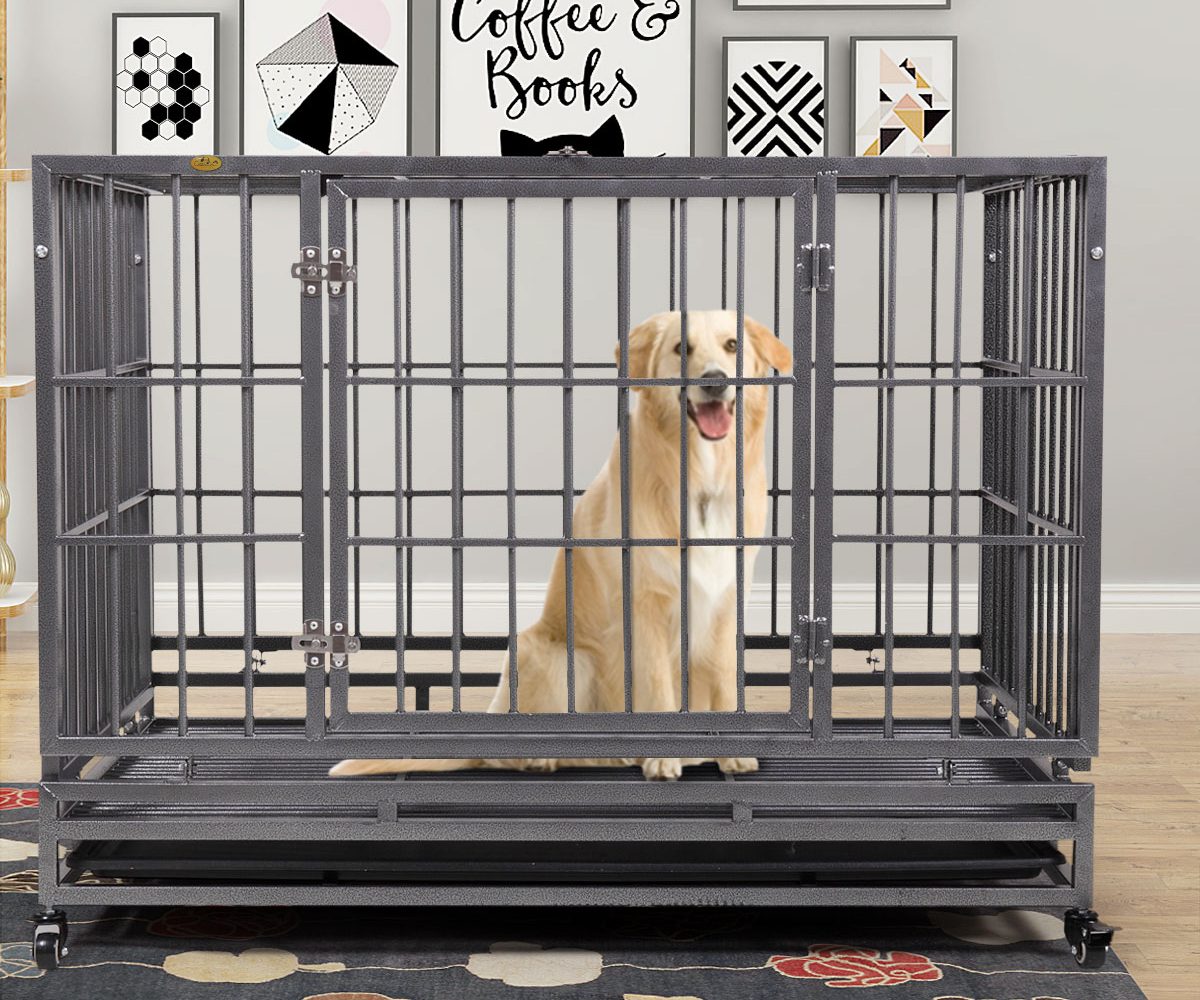 dog crate